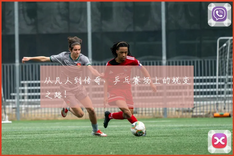 从凡人到传奇,乒乓赛场上的蜕变之路!
