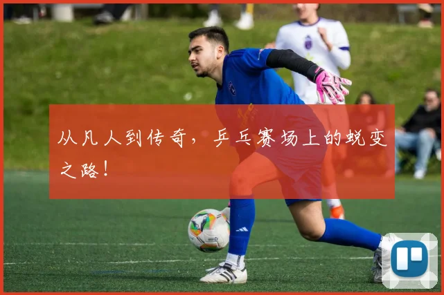 从凡人到传奇,乒乓赛场上的蜕变之路!